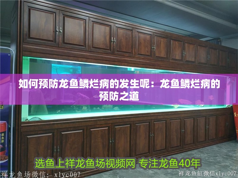 如何預(yù)防龍魚鱗爛病的發(fā)生呢：龍魚鱗爛病的預(yù)防之道 如何預(yù)防龍魚鱗爛病的發(fā)生呢：龍魚鱗爛病的預(yù)防之道 水族問答