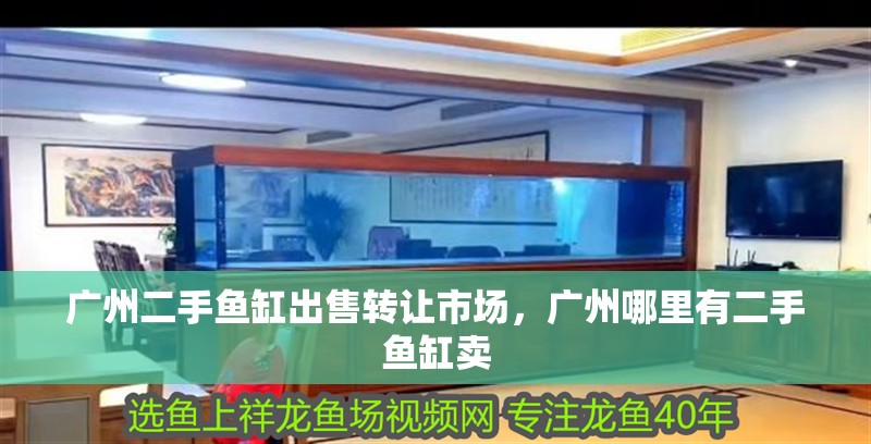 廣州二手魚缸出售轉讓市場，廣州哪里有二手魚缸賣 廣州二手魚缸出售轉讓市場，廣州哪里有二手魚缸賣 觀賞魚百科