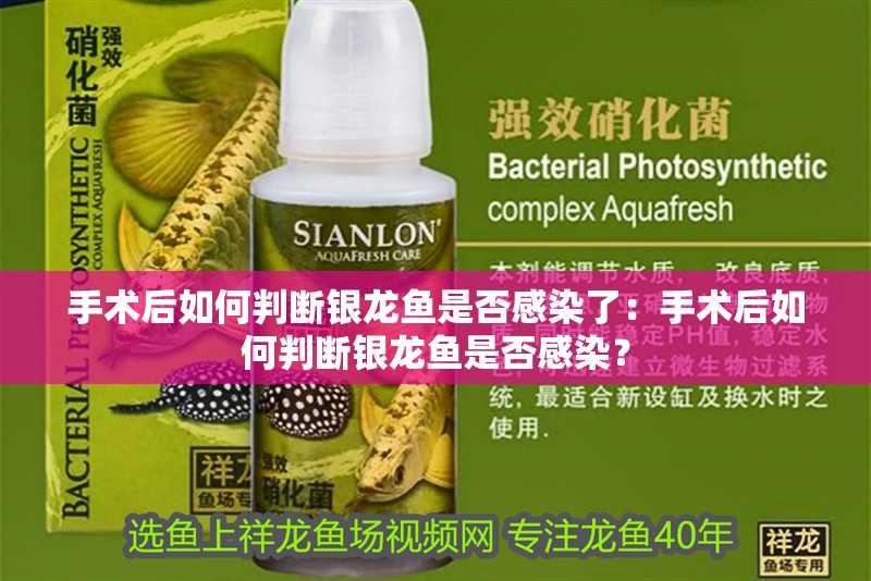 手術(shù)后如何判斷銀龍魚是否感染了：手術(shù)后如何判斷銀龍魚是否感染？