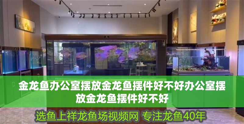 金龍魚辦公室擺放金龍魚擺件好不好辦公室擺放金龍魚擺件好不好