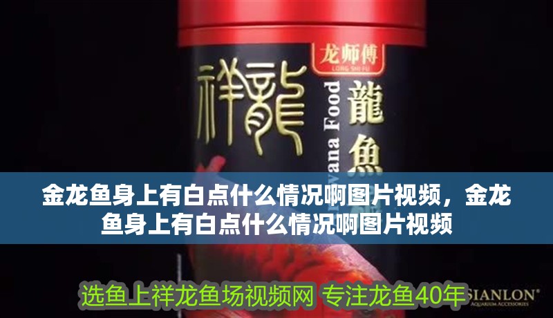 金龍魚身上有白點什么情況啊圖片視頻，金龍魚身上有白點什么情況啊圖片視頻
