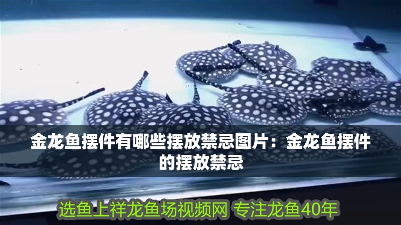 金龍魚擺件有哪些擺放禁忌圖片：金龍魚擺件的擺放禁忌