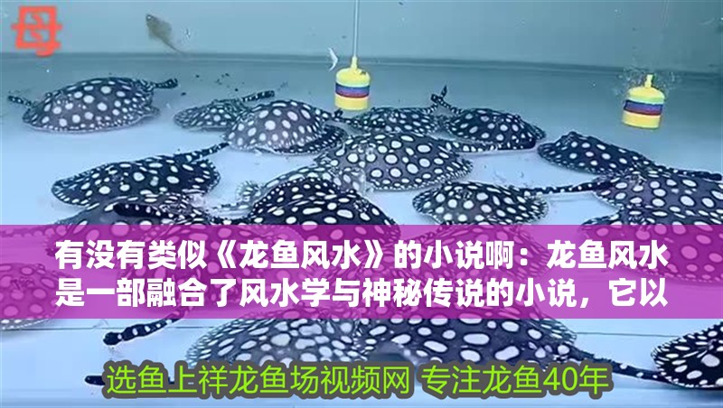 有沒有類似《龍魚風水》的小說啊：龍魚風水是一部融合了風水學與神秘傳說的小說，它以獨特的視角和豐富的想象力，講述了主人公在風水師的指引下，解開一系列謎團的故事。那么，有沒有類似龍魚風水的小說呢？