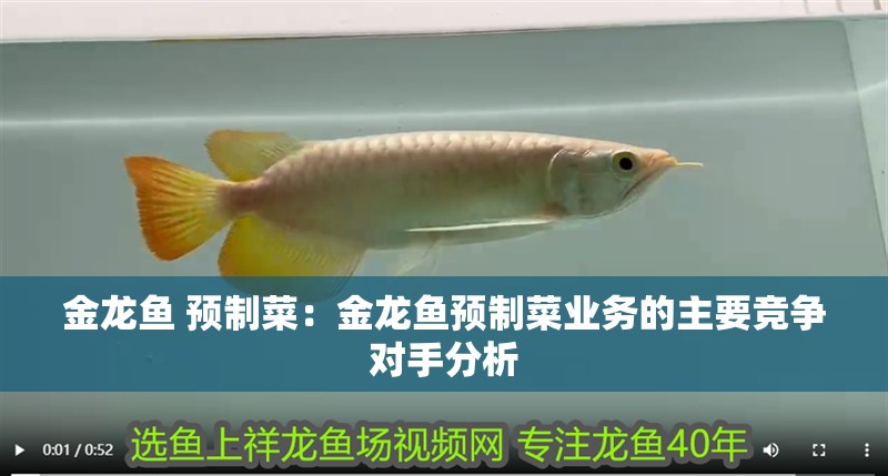 金龍魚 預(yù)制菜：金龍魚預(yù)制菜業(yè)務(wù)的主要競爭對手分析