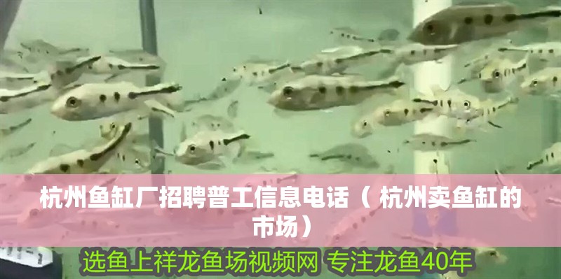 杭州魚缸廠招聘普工信息電話（ 杭州賣魚缸的市場）