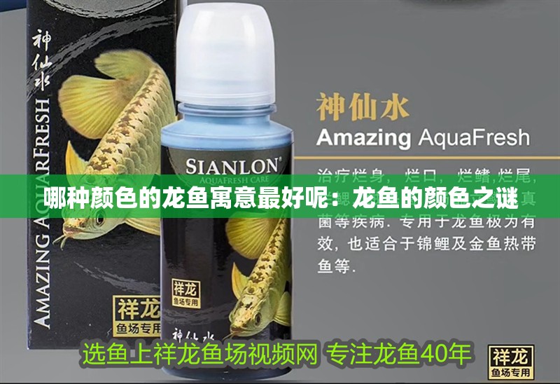 哪種顏色的龍魚寓意最好呢：龍魚的顏色之謎