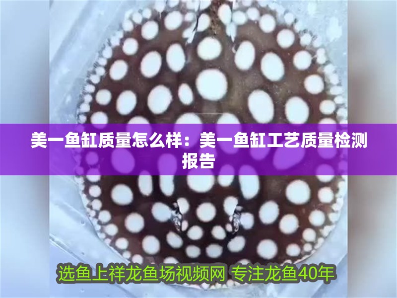 美一魚缸質量怎么樣：美一魚缸工藝質量檢測報告