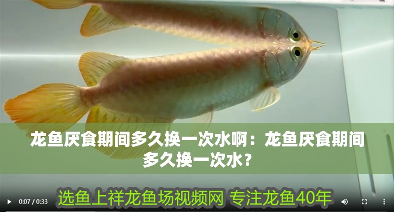 龍魚厭食期間多久換一次水啊：龍魚厭食期間多久換一次水？