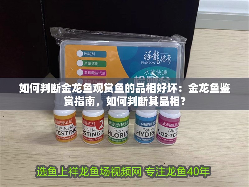 如何判斷金龍魚觀賞魚的品相好壞：金龍魚鑒賞指南，如何判斷其品相？ 如何判斷金龍魚觀賞魚的品相好壞：金龍魚鑒賞指南，如何判斷其品相？ 水族問答