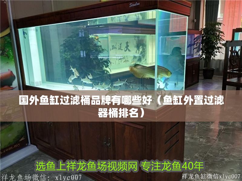 國外魚缸過濾桶品牌有哪些好（魚缸外置過濾器桶排名）