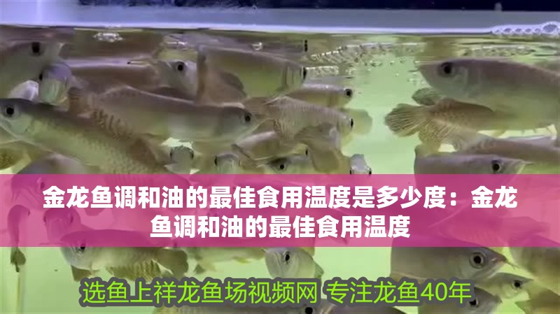 金龍魚調和油的最佳食用溫度是多少度：金龍魚調和油的最佳食用溫度