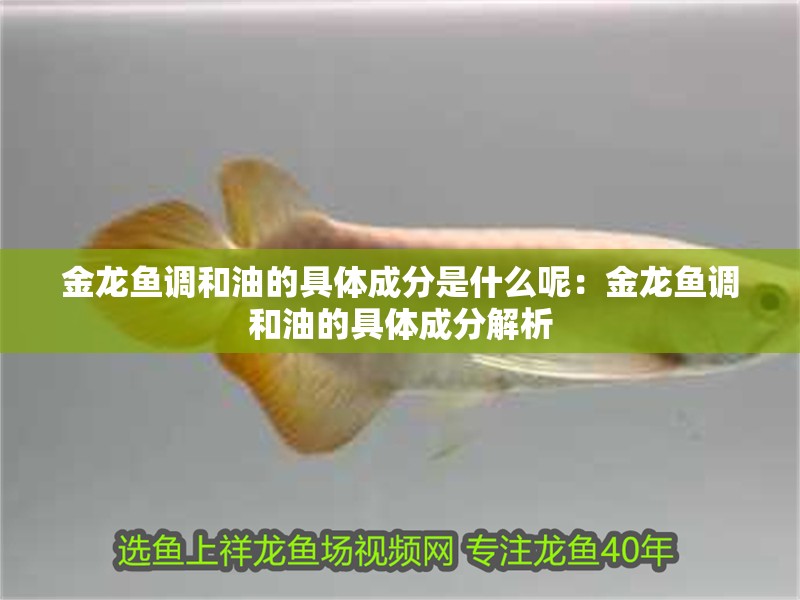 金龍魚調和油的具體成分是什么呢：金龍魚調和油的具體成分解析