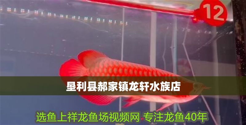 墾利縣郝家鎮(zhèn)龍軒水族店