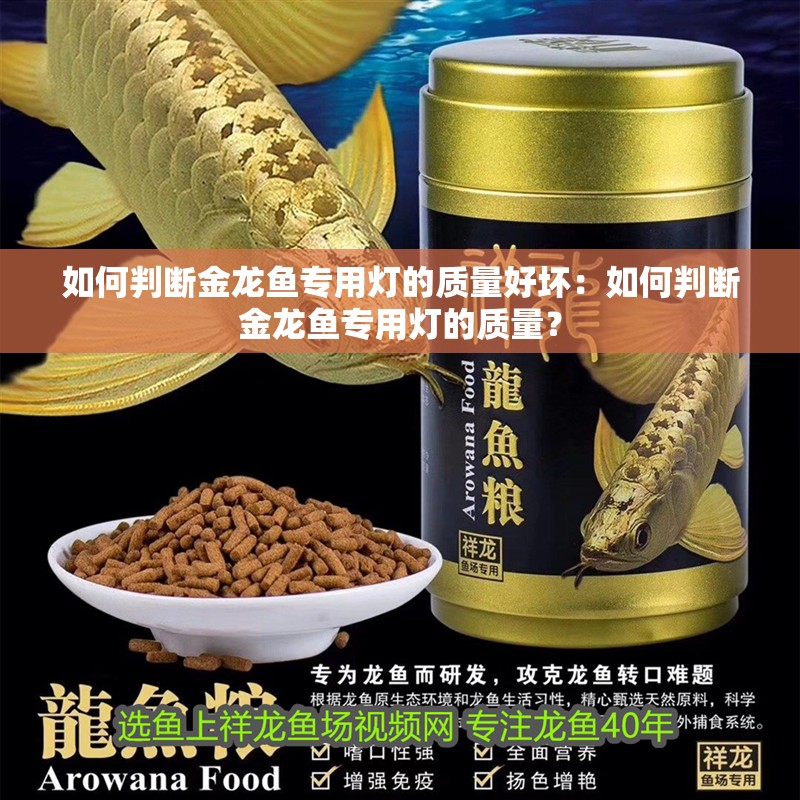如何判斷金龍魚專用燈的質量好壞：如何判斷金龍魚專用燈的質量？
