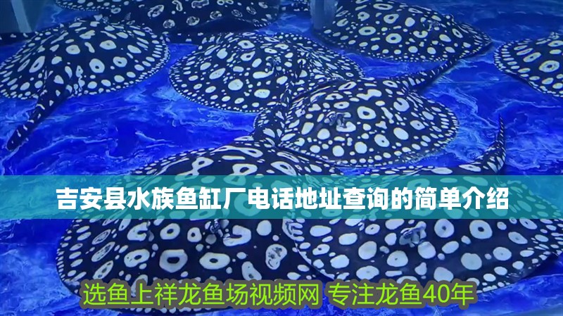 吉安縣水族魚缸廠電話地址查詢的簡(jiǎn)單介紹 吉安縣水族魚缸廠電話地址查詢的簡(jiǎn)單介紹 觀賞魚百科