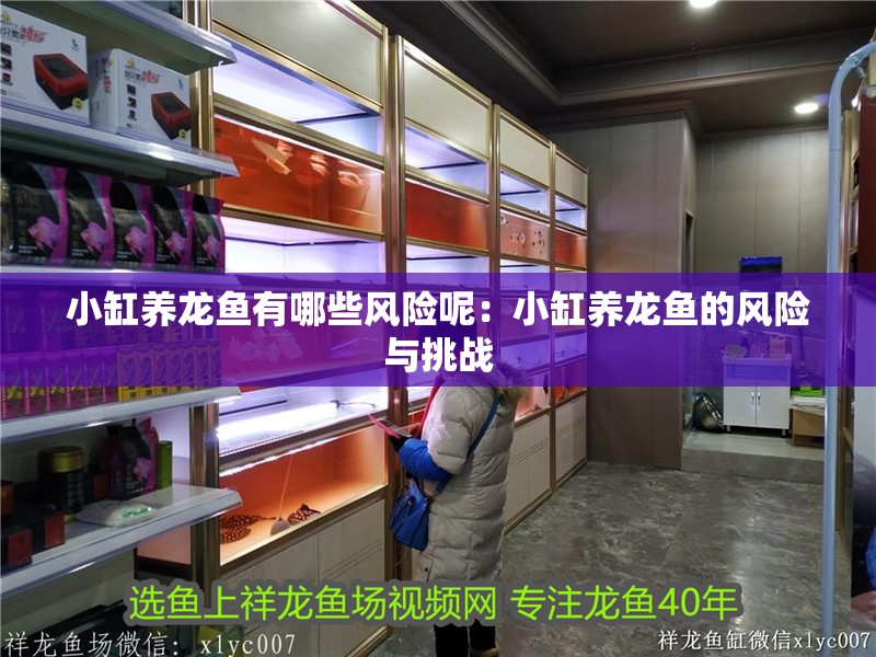 小缸養龍魚有哪些風險呢：小缸養龍魚的風險與挑戰