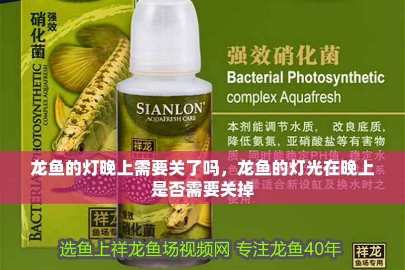 龍魚的燈晚上需要關了嗎，龍魚的燈光在晚上是否需要關掉