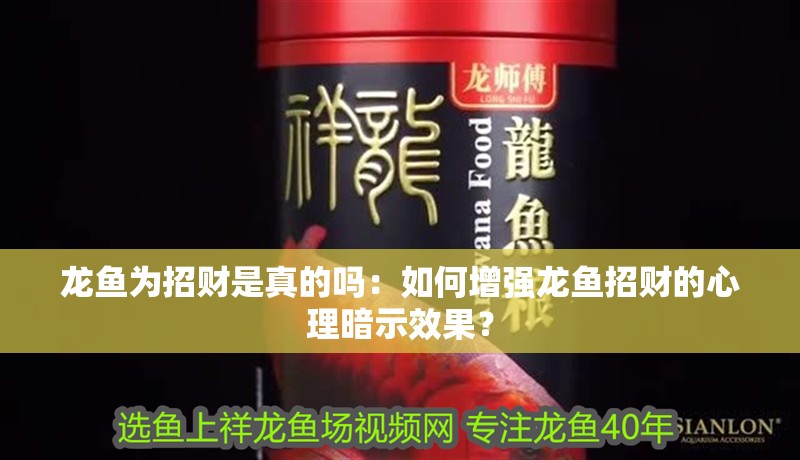 龍魚為招財是真的嗎：如何增強龍魚招財的心理暗示效果？ 龍魚為招財是真的嗎：如何增強龍魚招財的心理暗示效果？ 水族問答