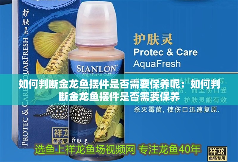 如何判斷金龍魚擺件是否需要保養(yǎng)呢：如何判斷金龍魚擺件是否需要保養(yǎng) 如何判斷金龍魚擺件是否需要保養(yǎng)呢：如何判斷金龍魚擺件是否需要保養(yǎng) 水族問(wèn)答