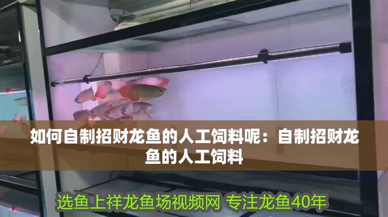 如何自制招財龍魚的人工飼料呢：自制招財龍魚的人工飼料