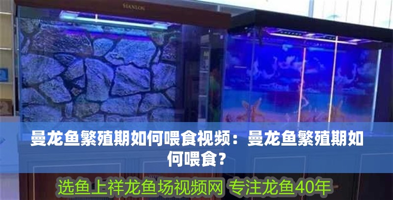 詳細(xì)閱讀:曼龍魚繁殖期如何喂食視頻:曼龍魚繁殖期如何喂食? 曼龍魚繁殖期如何喂食視頻:曼龍魚繁殖期如何喂食?