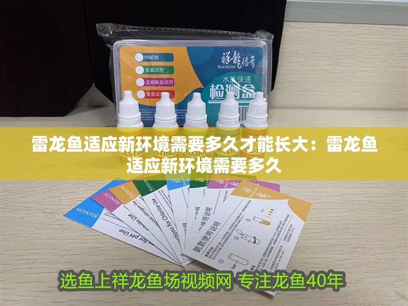 雷龍魚適應新環境需要多久才能長大：雷龍魚適應新環境需要多久