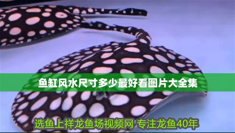 魚(yú)缸風(fēng)水尺寸多少最好看圖片大全集