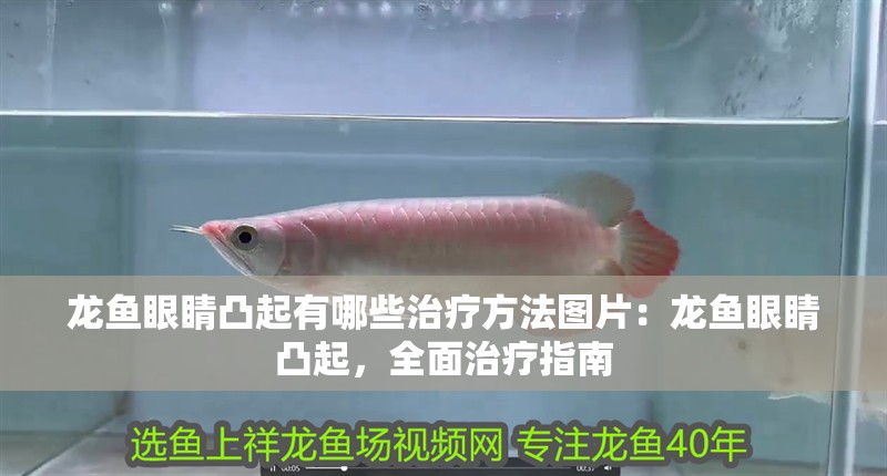 龍魚眼睛凸起有哪些治療方法圖片：龍魚眼睛凸起，全面治療指南 龍魚眼睛凸起有哪些治療方法圖片：龍魚眼睛凸起，全面治療指南 水族問答