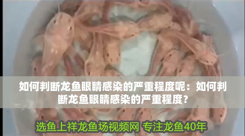 如何判斷龍魚眼睛感染的嚴重程度呢：如何判斷龍魚眼睛感染的嚴重程度？