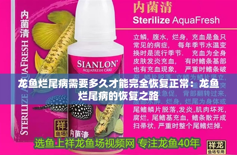 龍魚爛尾病需要多久才能完全恢復正常：龍魚爛尾病的恢復之路