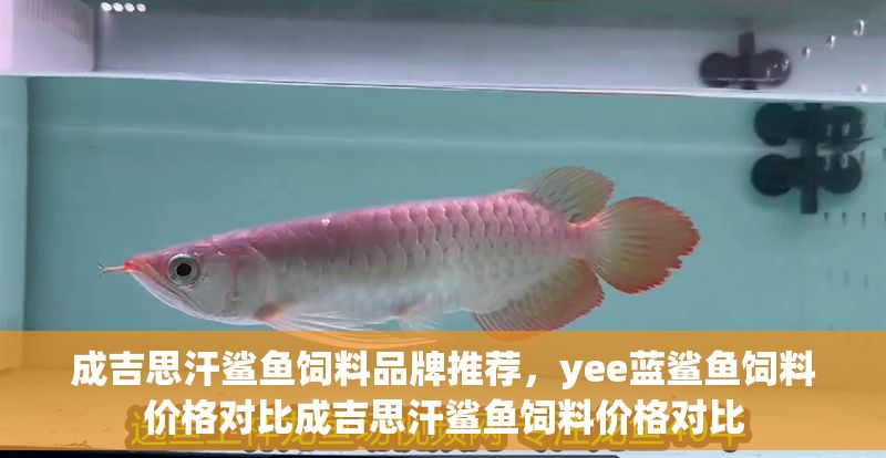 成吉思汗鯊魚飼料品牌推薦，yee藍鯊魚飼料價格對比成吉思汗鯊魚飼料價格對比