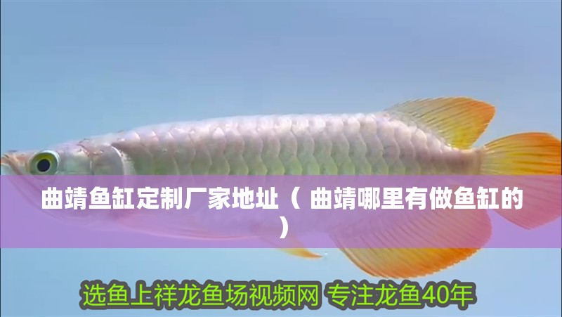 曲靖魚缸定制廠家地址（ 曲靖哪里有做魚缸的）