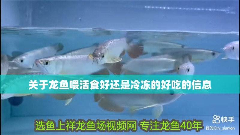 魚缸過濾器選購指南:自制魚缸過濾器魚缸上置過濾器對于養魚愛好者的必備知識 關于龍魚喂活食好還是冷凍的好吃的信息 觀賞魚百科 關于龍魚喂活食好還是冷凍的好吃的信息 關于龍魚喂活食好還是冷凍的好吃的信息 觀賞魚百科