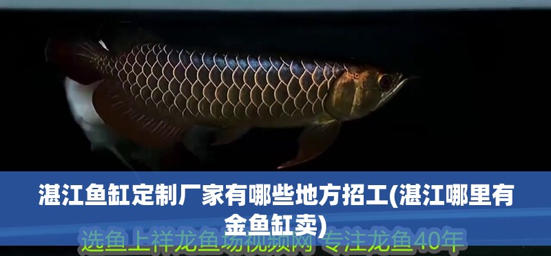 湛江魚缸定制廠家有哪些地方招工(湛江哪里有金魚缸賣)