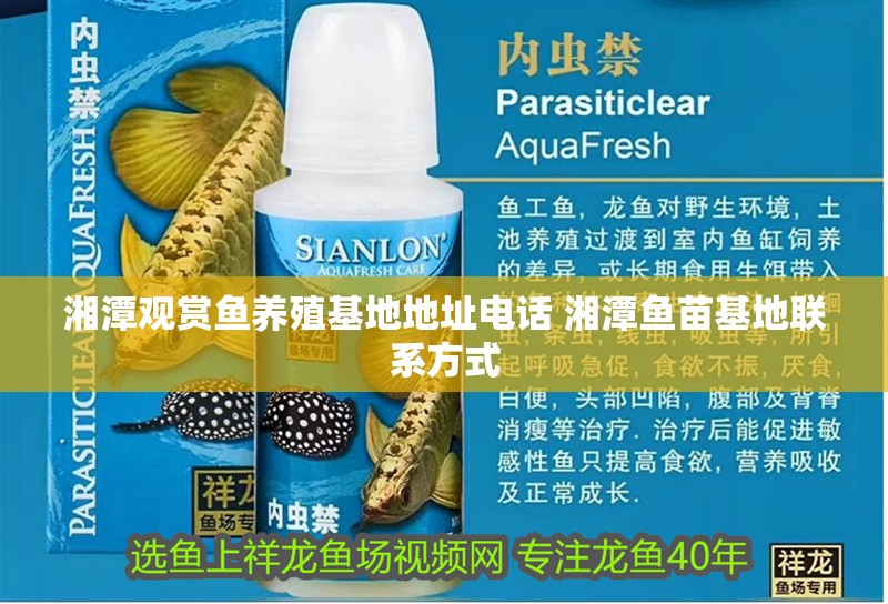 湘潭觀賞魚養殖基地地址電話 湘潭魚苗基地聯系方式 湘潭觀賞魚養殖基地地址電話 湘潭魚苗基地聯系方式 觀賞魚百科