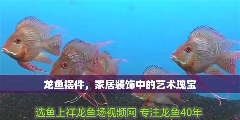 龍魚擺件，家居裝飾中的藝術瑰寶