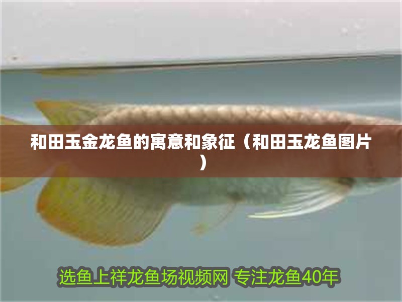 魚缸用增氧泵價(jià)格是多少:魚缸增氧機(jī)-xtrac增氧機(jī)-xtrac增氧機(jī) 和田玉金龍魚的寓意和象征(和田玉龍魚圖片) 觀賞魚百科 和田玉金龍魚的寓意和象征(和田玉龍魚圖片) 和田玉金龍魚的寓意和象征(和田玉龍魚圖片) 觀賞魚百科