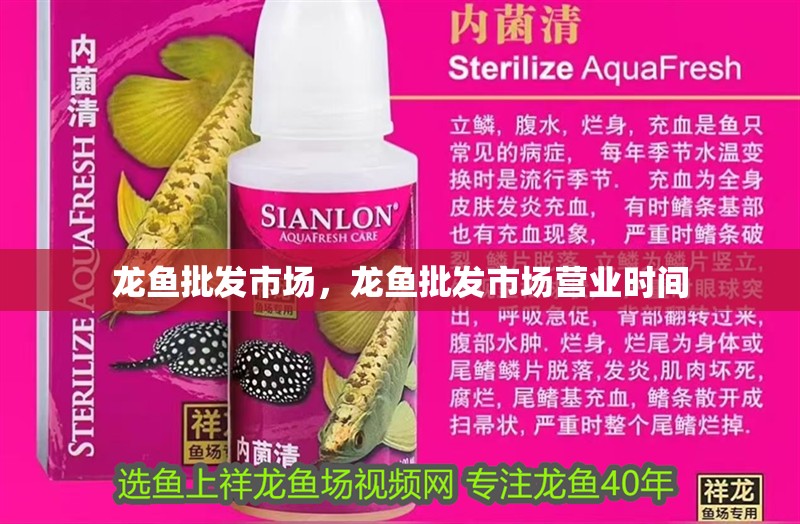 龍魚批發(fā)市場(chǎng)，龍魚批發(fā)市場(chǎng)營(yíng)業(yè)時(shí)間 龍魚批發(fā)市場(chǎng)，龍魚批發(fā)市場(chǎng)營(yíng)業(yè)時(shí)間 觀賞魚百科