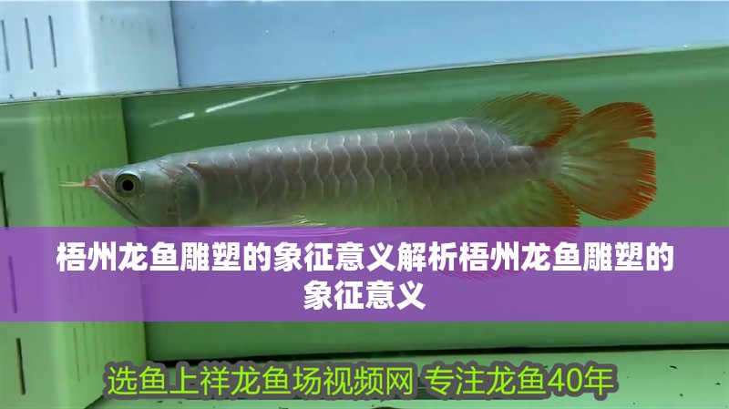 梧州龍魚雕塑的象征意義解析梧州龍魚雕塑的象征意義