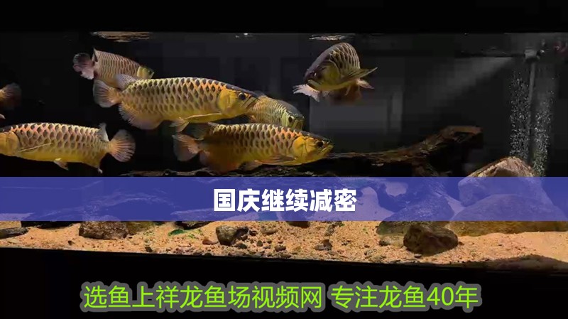 魚缸用增氧泵價格是多少:魚缸增氧機-xtrac增氧機-xtrac增氧機 國慶繼續減密 觀賞魚百科 國慶繼續減密 國慶繼續減密 觀賞魚百科