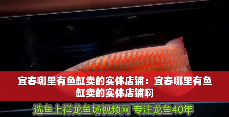 宜春哪里有魚缸賣的實體店鋪：宜春哪里有魚缸賣的實體店鋪啊