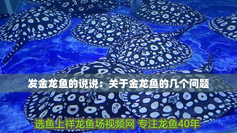 發(fā)金龍魚的說說：關(guān)于金龍魚的幾個問題 發(fā)金龍魚的說說：關(guān)于金龍魚的幾個問題 觀賞魚百科