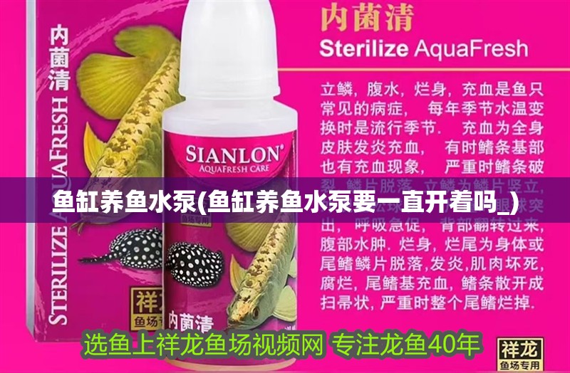 魚缸用增氧泵價格是多少:魚缸增氧機-xtrac增氧機-xtrac增氧機 魚缸養魚水泵(魚缸養魚水泵要一直開著嗎_) 觀賞魚百科 魚缸養魚水泵(魚缸養魚水泵要一直開著嗎_) 魚缸養魚水泵(魚缸養魚水泵要一直開著嗎_) 觀賞魚百科