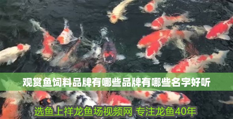 觀賞魚飼料品牌有哪些品牌有哪些名字好聽 觀賞魚飼料品牌有哪些品牌有哪些名字好聽 觀賞魚百科