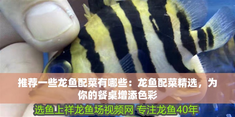 推薦一些龍魚配菜有哪些：龍魚配菜精選，為你的餐桌增添色彩 推薦一些龍魚配菜有哪些：龍魚配菜精選，為你的餐桌增添色彩 水族問答