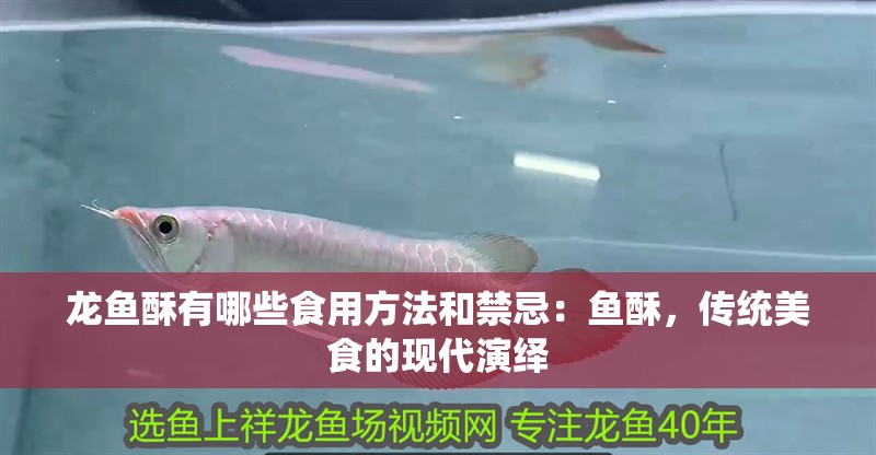 龍魚酥有哪些食用方法和禁忌：魚酥，傳統(tǒng)美食的現(xiàn)代演繹