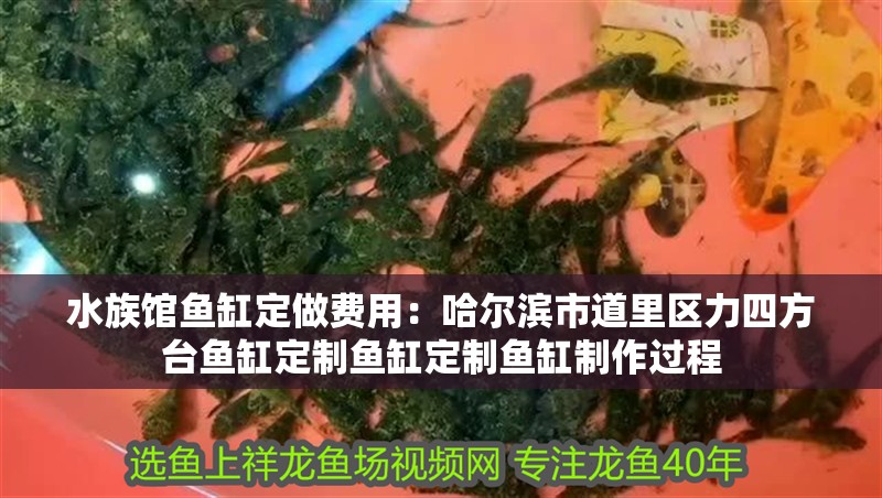 水族館魚缸定做費用：哈爾濱市道里區力四方臺魚缸定制魚缸定制魚缸制作過程