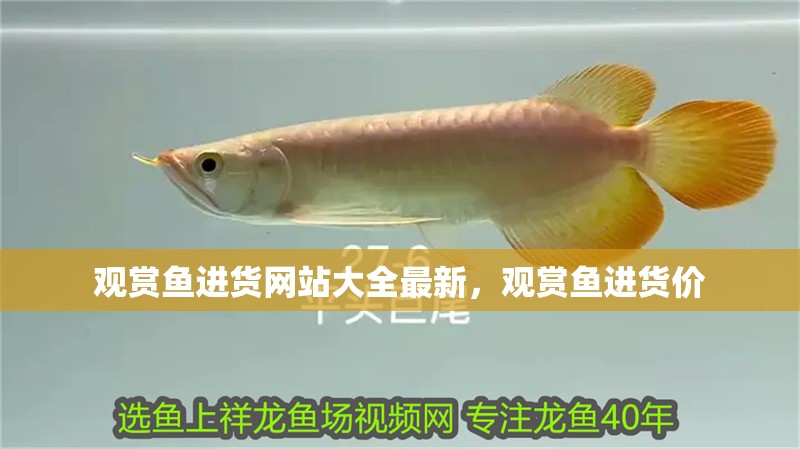 觀賞魚進貨網站大全最新，觀賞魚進貨價 觀賞魚進貨網站大全最新，觀賞魚進貨價 觀賞魚百科