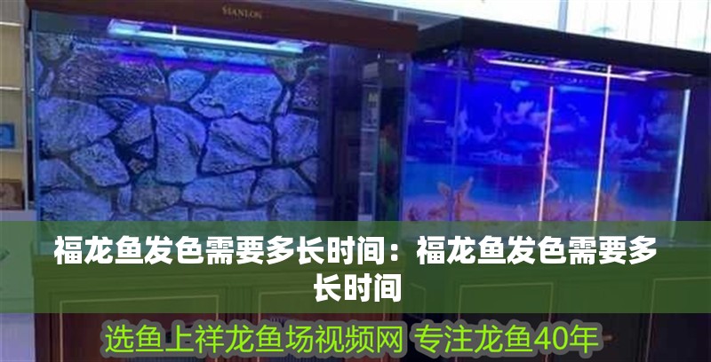 福龍魚發色需要多長時間：福龍魚發色需要多長時間