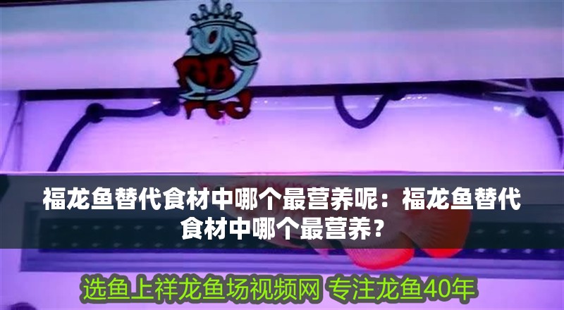 福龍魚替代食材中哪個最營養呢：福龍魚替代食材中哪個最營養？